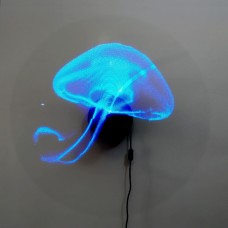 Голограмма для 3D вентилятора Медуза